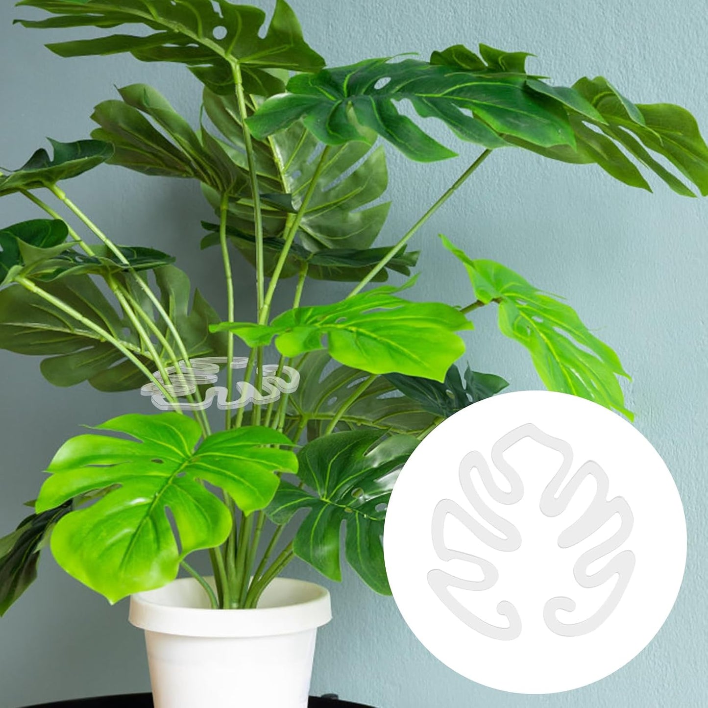 Genomskinligt växtstöd i akryl, Monstera-bladform | Osynligt växtstöd för inomhusbruk (1 set 5 st.)