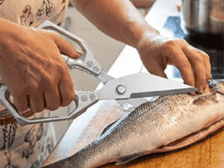 Kraftfull och mångsidig fågelsax för köket – robust och hållbar kökssax för att klippa kött och ben