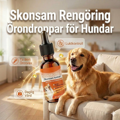 Milda örondroppar för hundar – daglig vård
