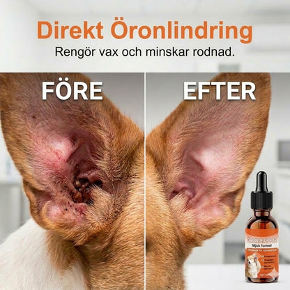 Milda örondroppar för hundar – daglig vård