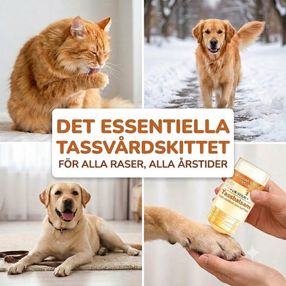 Återfuktande tassbalsam-stift för husdjur