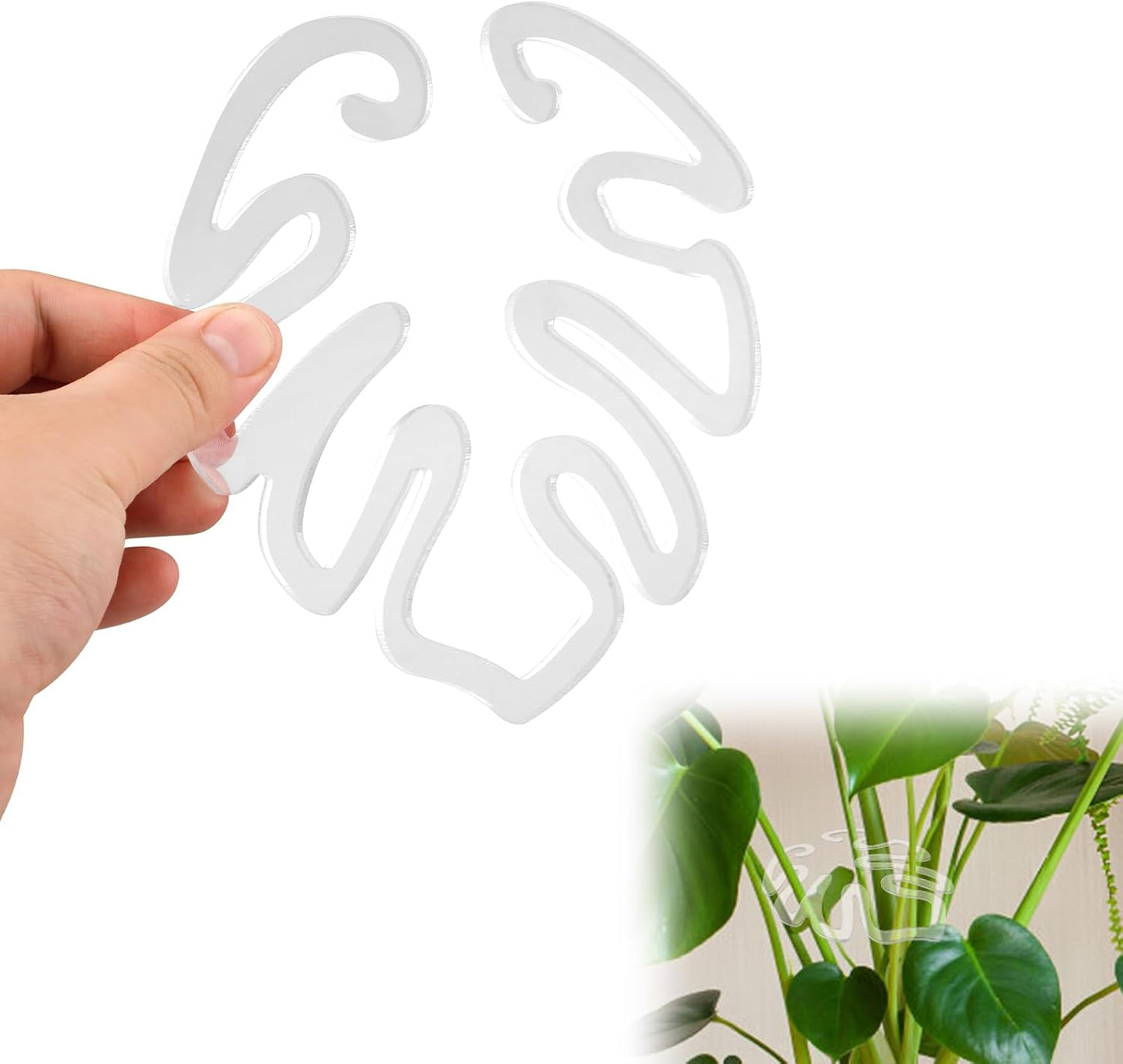 Genomskinligt växtstöd i akryl, Monstera-bladform | Osynligt växtstöd för inomhusbruk (1 set 5 st.)