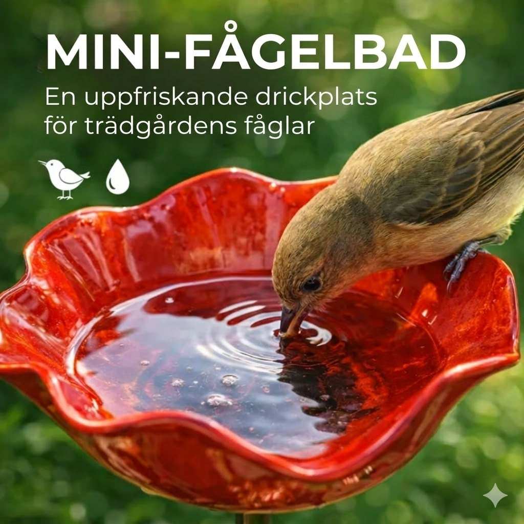 Handgjort fågelbad i fröform – unik trädgårdsdekoration och vattenskål för fåglar