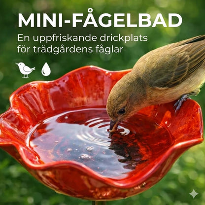 Handgjort fågelbad i fröform – unik trädgårdsdekoration och vattenskål för fåglar