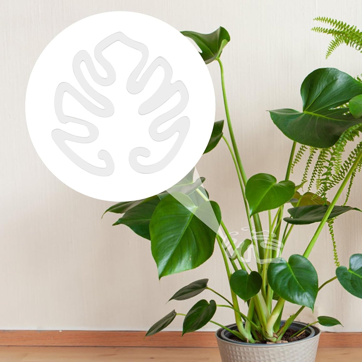 Genomskinligt växtstöd i akryl, Monstera-bladform | Osynligt växtstöd för inomhusbruk (1 set 5 st.)