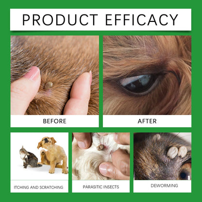 Naturlig lopp- och fästingspray 🐱🐶