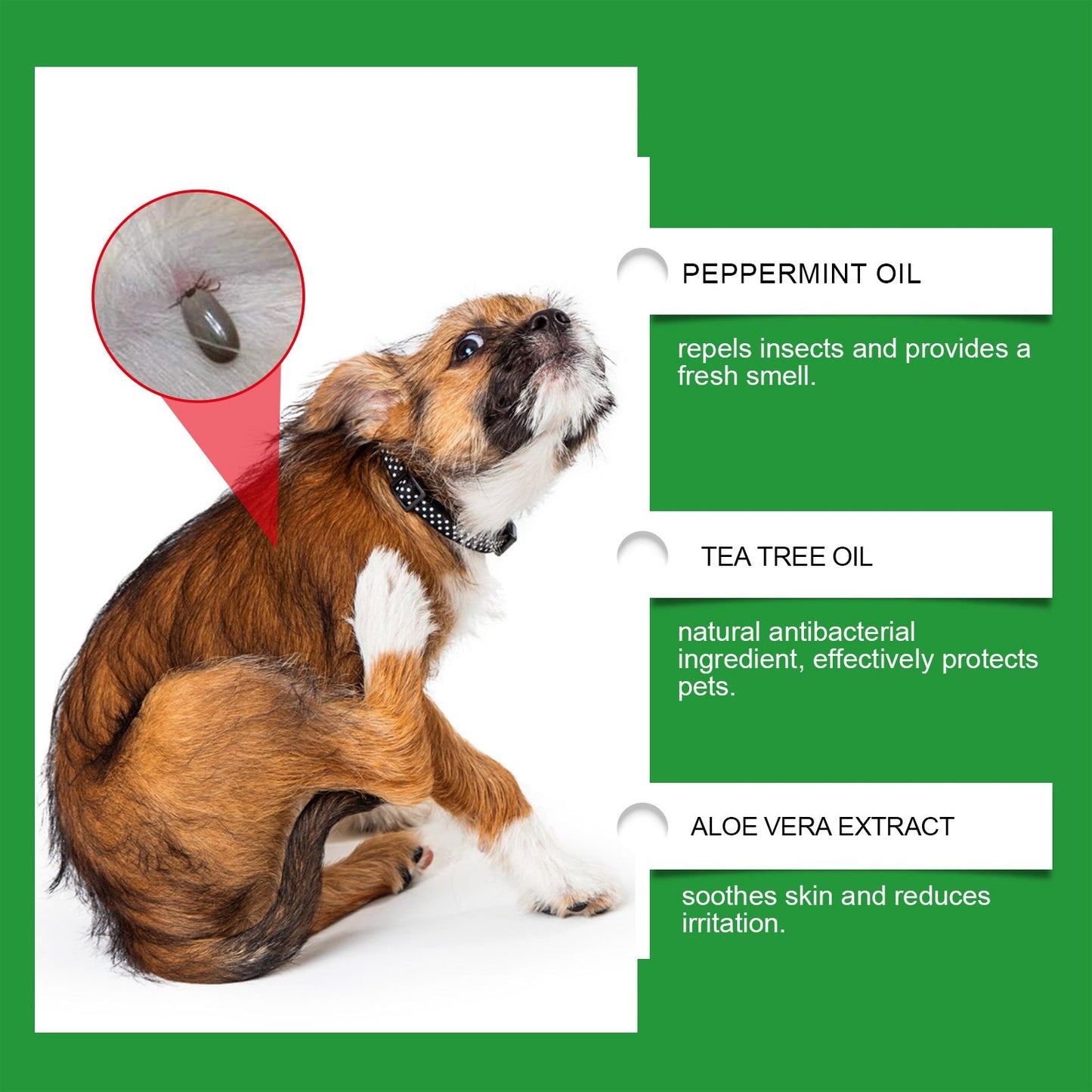 Naturlig lopp- och fästingspray 🐱🐶