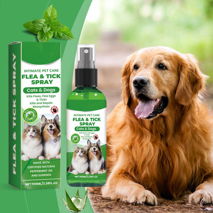 Naturlig lopp- och fästingspray 🐱🐶