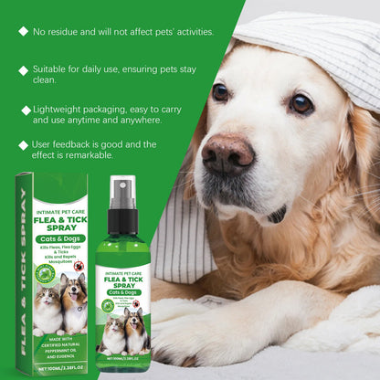 Naturlig lopp- och fästingspray 🐱🐶