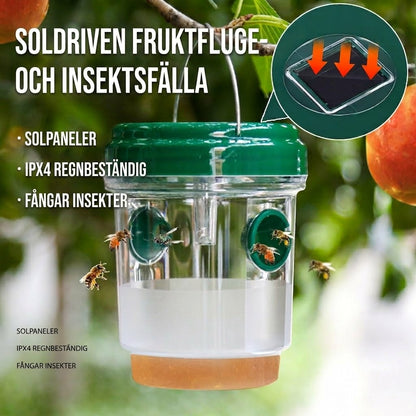 Soldriven hängande getingfälla och flugfångare