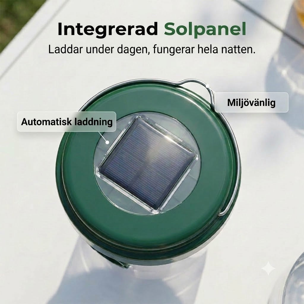 Soldriven hängande getingfälla och flugfångare