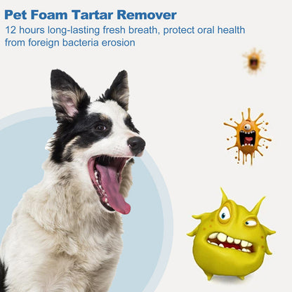 🐶🐱 Skummande tandstensborttagare för hundar