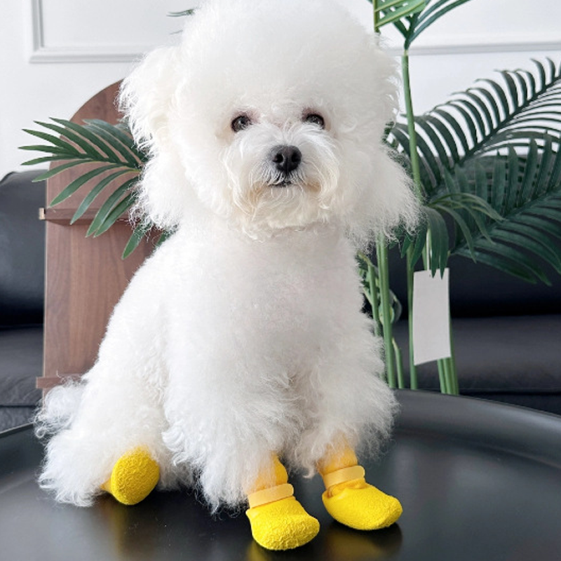 Halkfria och vattentäta skor för husdjur 🐶👟